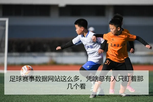 zu-qiu-sai-shi-shu-ju-wang-zhan-zhe-me-duo-ping-sha-zong-you-ren-zhi-ding-zhe-na-ji-ge-kan-2-665.jpg
