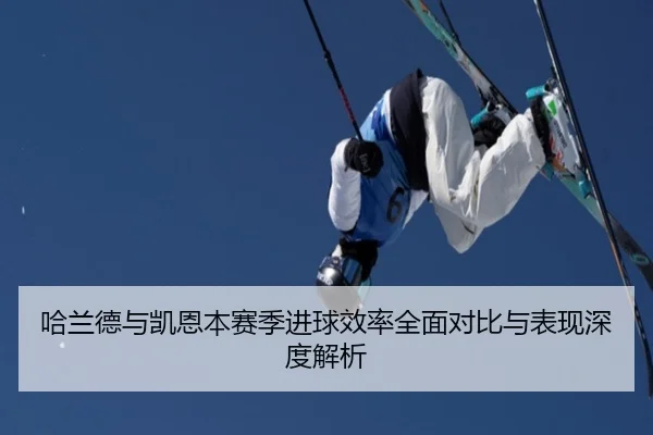 哈兰德与凯恩本赛季进球效率全面对比与表现深度解析