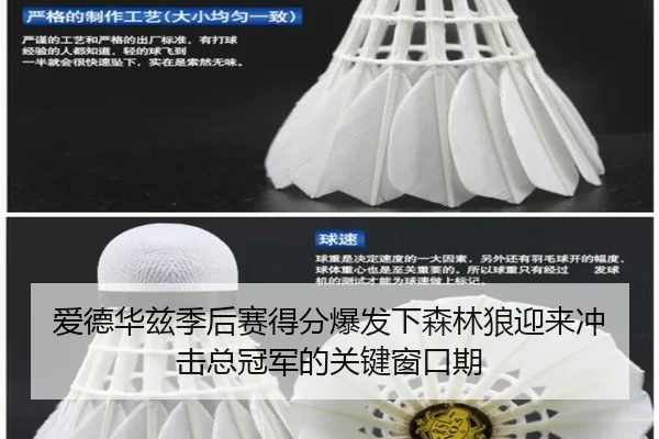 ai-de-hua-zi-ji-hou-sai-de-fen-bao-fa-xia-sen-lin-lang-ying-lai-chong-ji-zong-guan-jun-de-guan-jian-chuang-kou-qi-2-721.jpg