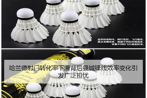 img_1783325678605_510_0_242.jpg（kaiyun）